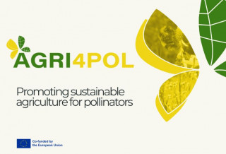 Promoting sustainable agriculture for pollinators: presenting the newly launched AGRI4POL project