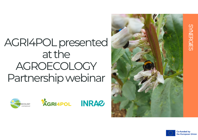 AGRI4POL was presented on AGROECOLOGY Partnership webinar