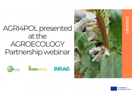 AGRI4POL was presented on AGROECOLOGY Partnership webinar