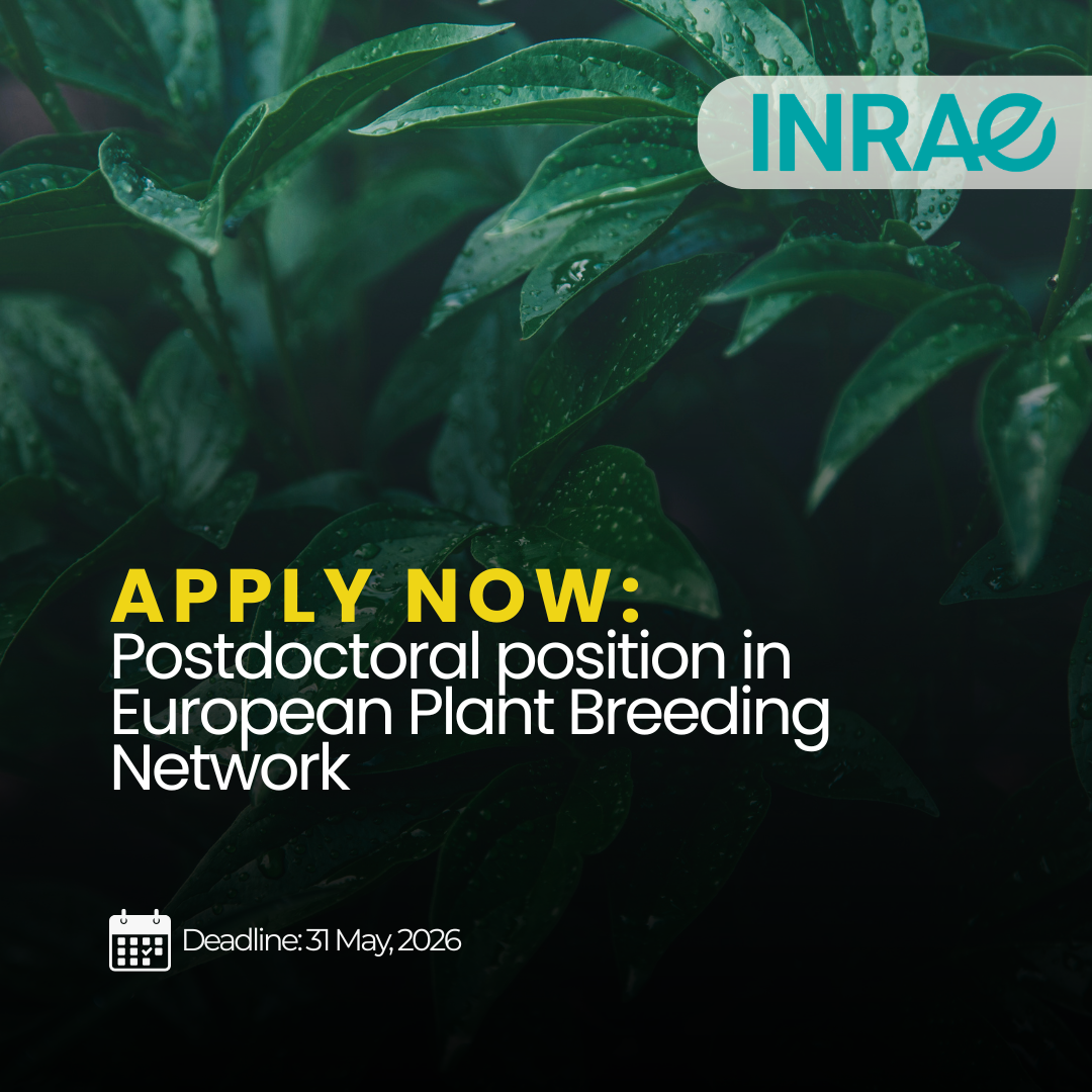 INRAE opens applications for Postdoctoral position in European Plant Breeding Network