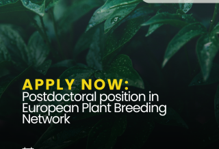 INRAE opens applications for Postdoctoral position in European Plant Breeding Network