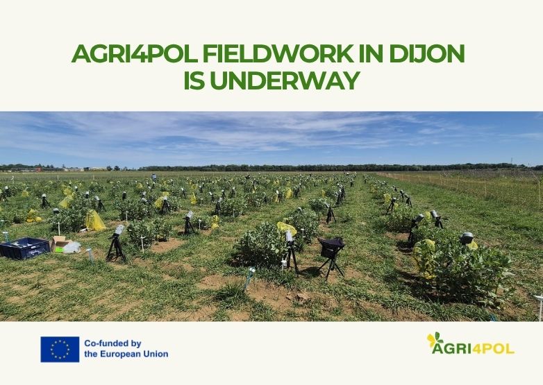 AGRI4POL fieldwork in Dijon is underway