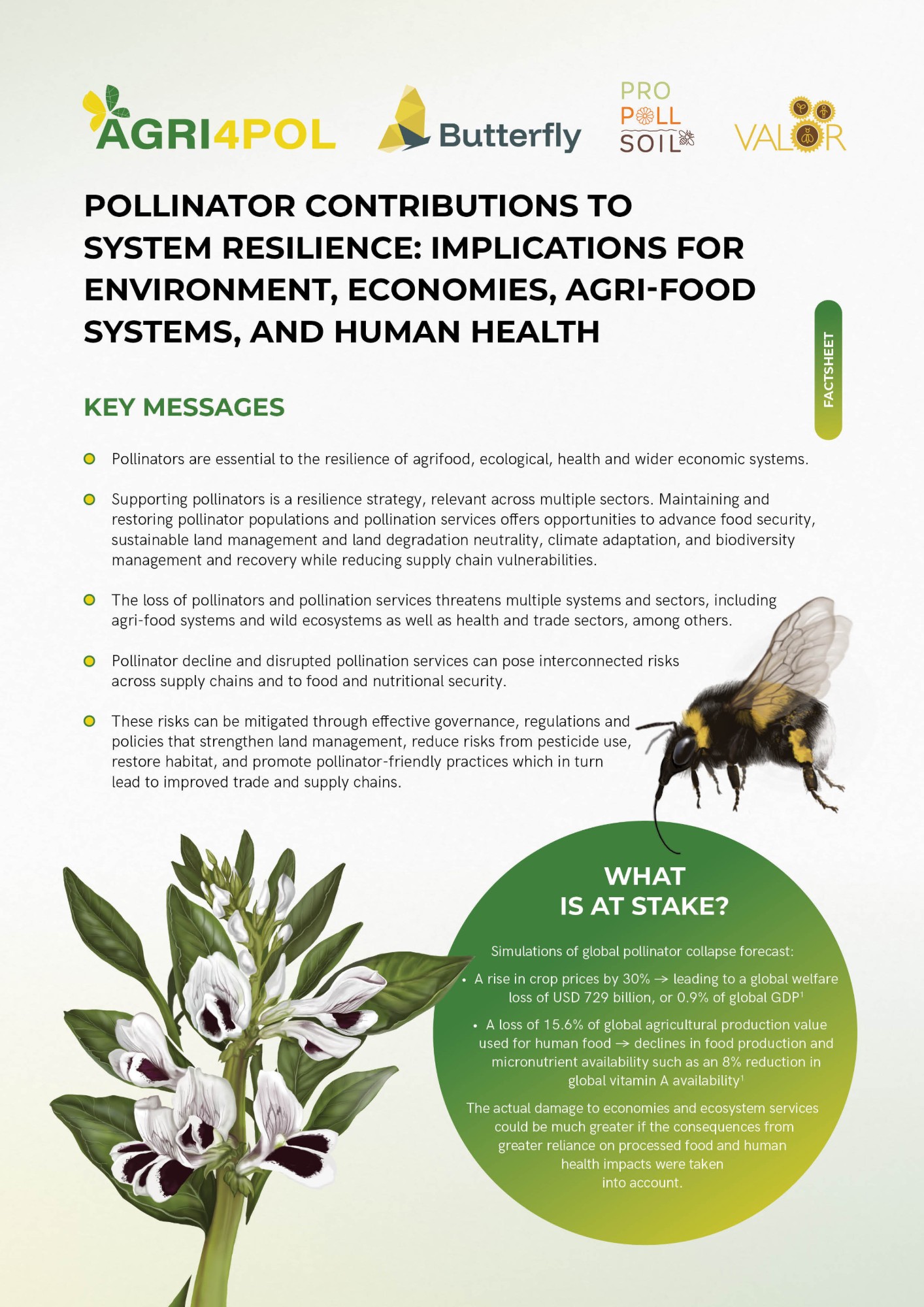 Cover of the fact sheet Pollinator Contributions to Resilience: Implications for Biodiversity, Economies, Agri-food Systems, and Livelihoods